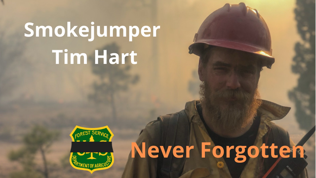 Firefighter killed while battling New Mexico wildfire - Vimarsana News