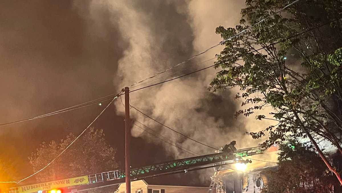 PHOTOS: Overnight fire destroys Dauphin County house