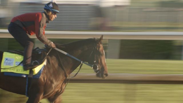 Midnight Bourbon, who ran in 2021 Kentucky Derby, dies - Vimarsana News