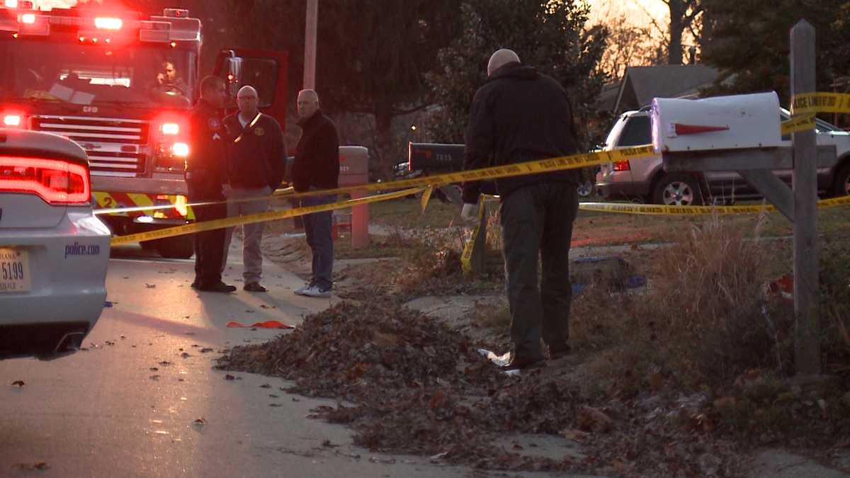 Elderly man raking leaves dies after hit and run