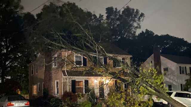 Images: Storm downs trees, power lines across Massachusetts
