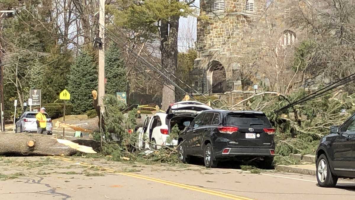 Woman, child pinned in car when falling tree crushes vehicle