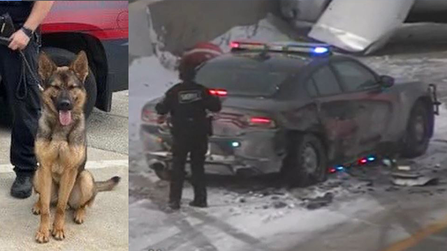 Close Call For ﻿Milwaukee Deputy And K-9 Ryker, Squad Car Hit On Highway