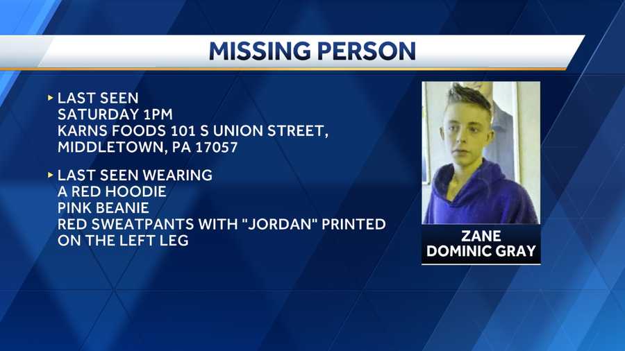 Police searching for missing teen