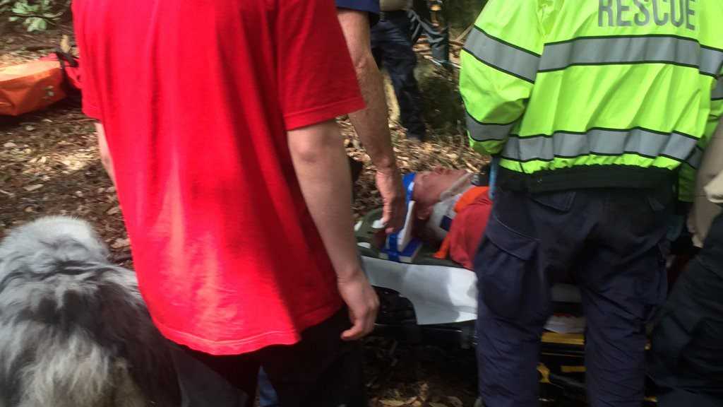 Missing hiker found with help of loyal dog