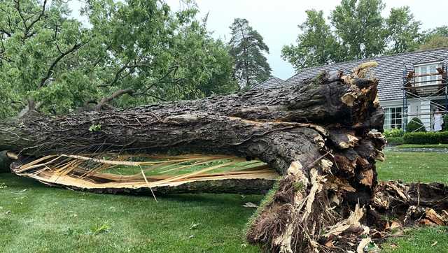 City of Kansas City announces plans for severe weather response - Vimarsana News