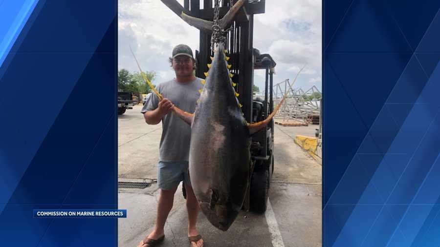 Massive tuna caught in Mississippi breaks state record