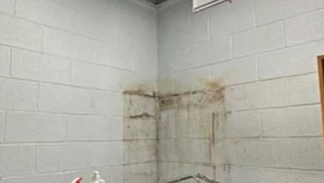 South Carolina schools with rats, mold, roaches, parent says - Vimarsana News