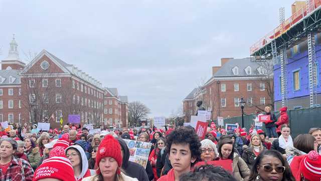 Maryland parents, students demand laws preventing gun violence - Vimarsana News
