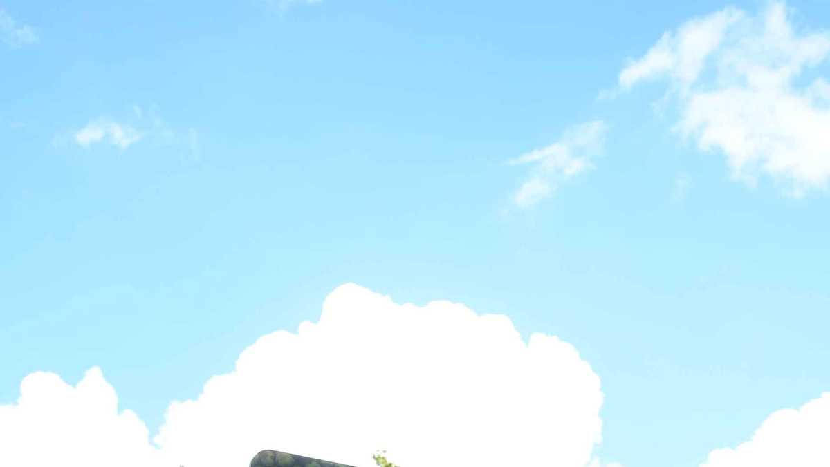 Louisville Zoo begins partnership in effort to save Monarch butterflies