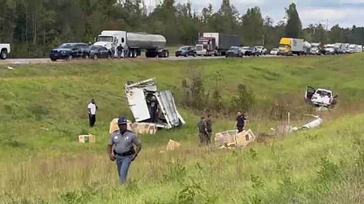 Monkeys on the run: Crash on Mississippi highway exposes secrecy of research industry