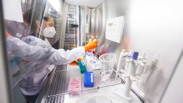 An employee works on a vaccine based on the monkeypox vaccine that has already been developed by the vaccine company Bavarian Nordic at a laboratory of the company in Martinsried near Munich, Germany, May 24, 2022. The company, headquartered in Denmark, is the only one in the world to have approval for a smallpox vaccine called Jynneos in the U.S. and Imvanex in Europe, which is also effective against monkeypox. REUTERS/Lukas Barth 