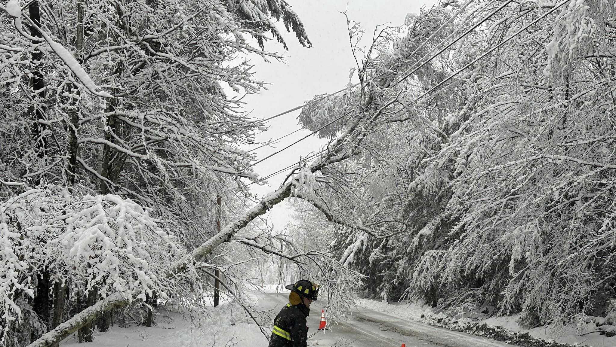 Nor'easter lashes Maine with heavy snow, high winds - Vimarsana News