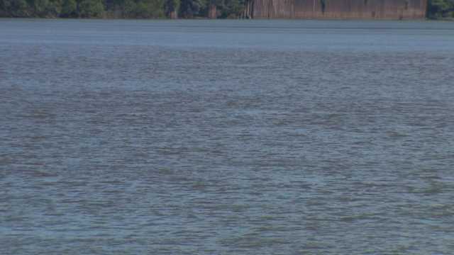 Monongahela River chase for carjacking suspect - Vimarsana News