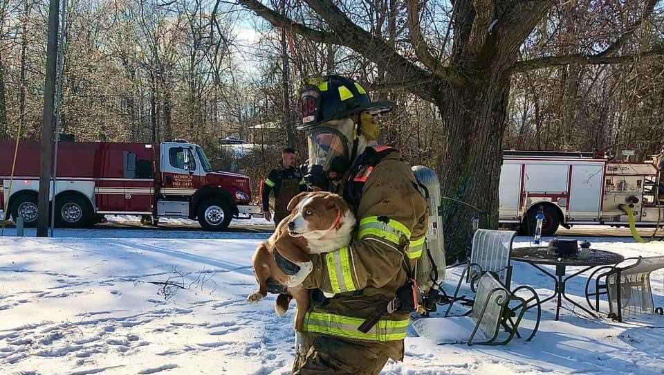 Dogs saved from house fire by Indiana firefighters
