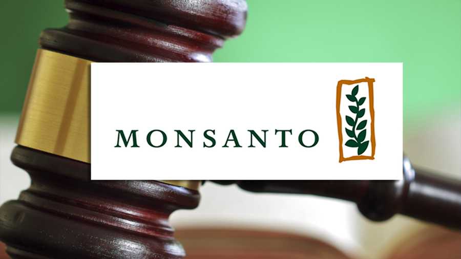 Germany's Bayer to complete Monsanto purchase on Thursday