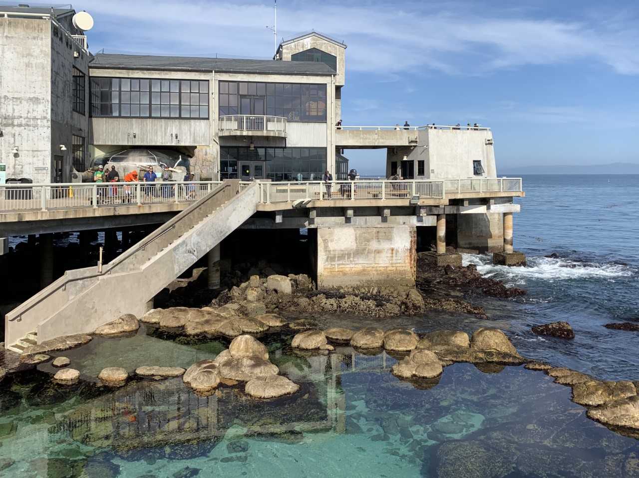 Central Coast locals get free access to the Aquarium next week