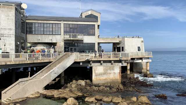 Monterey Bay Aquarium won't have community open house this year - Vimarsana News