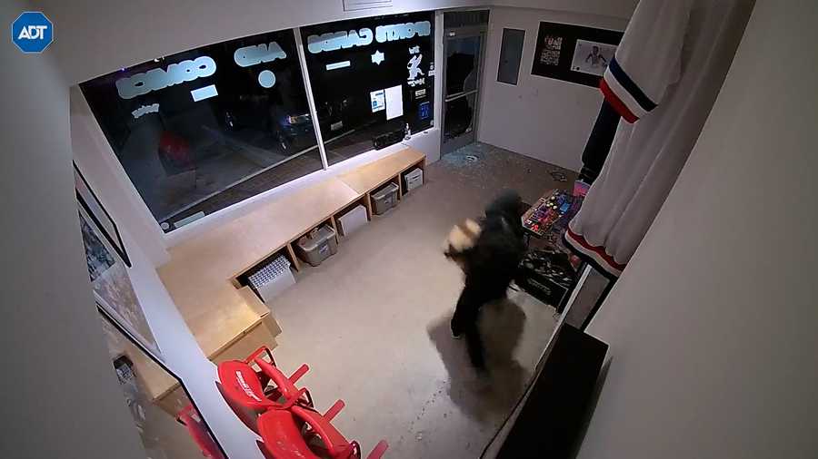 In Monterey, police are investigating a burglary that happened around 2:20 a.m. Monday at the Monterey Bay Collector’s Lounge.