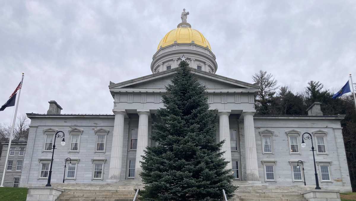 This year's Statehouse Christmas Tree set up in Montpelier
