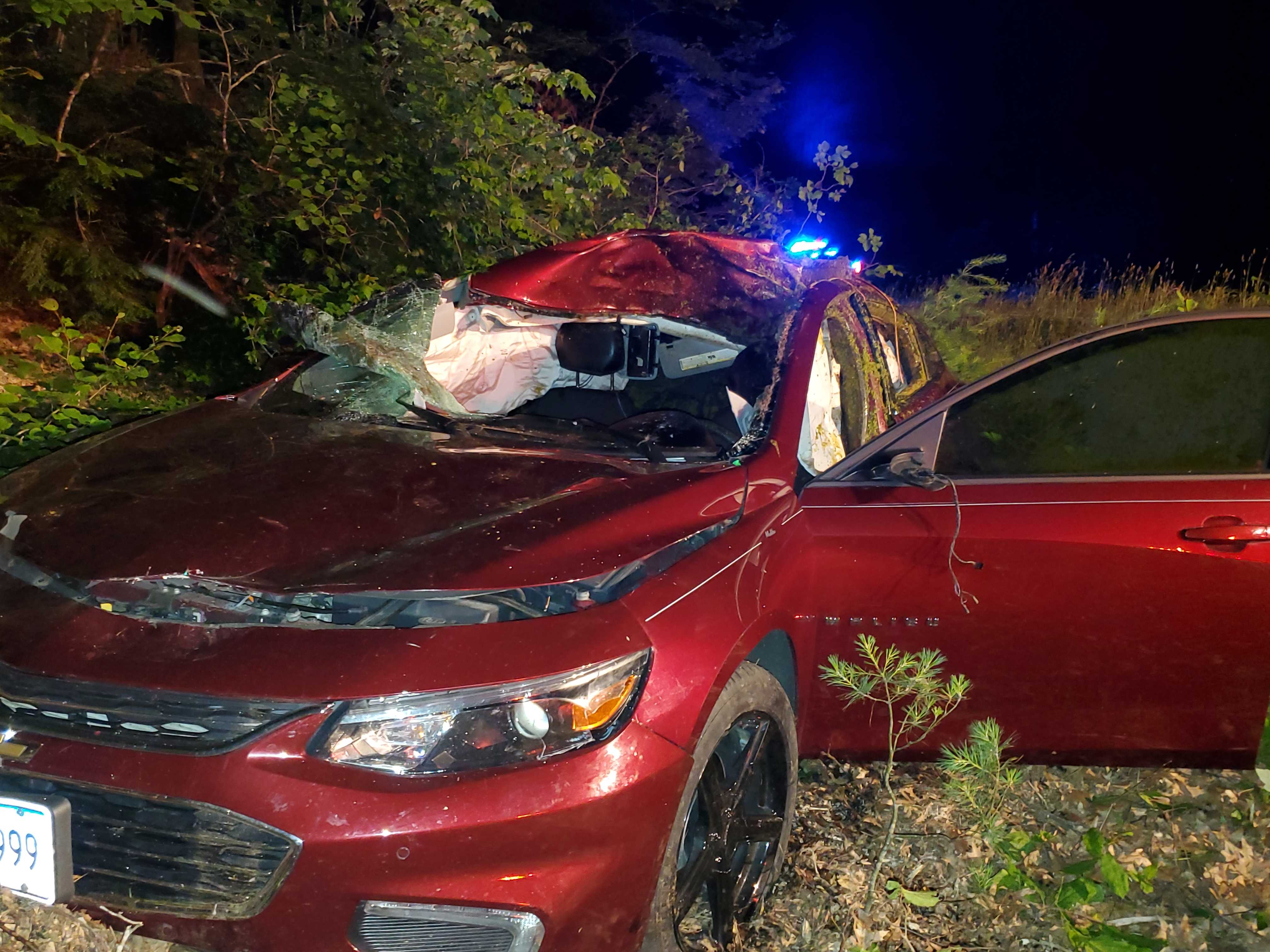 Injuries Reported After Car Hits Moose In Central Mass.