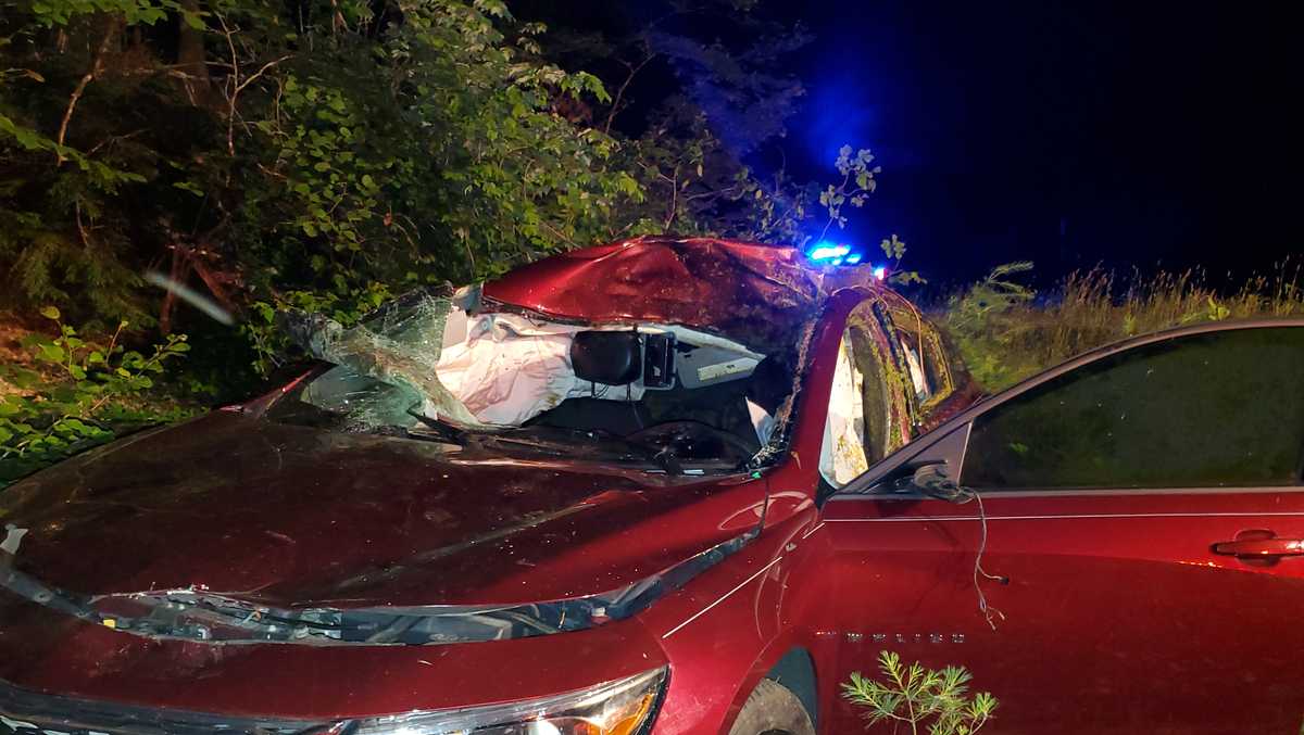 Injuries reported after car hits moose in central Mass.