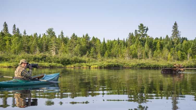 Friday, January 8th: The Moose Man Nature Photos - Vimarsana News