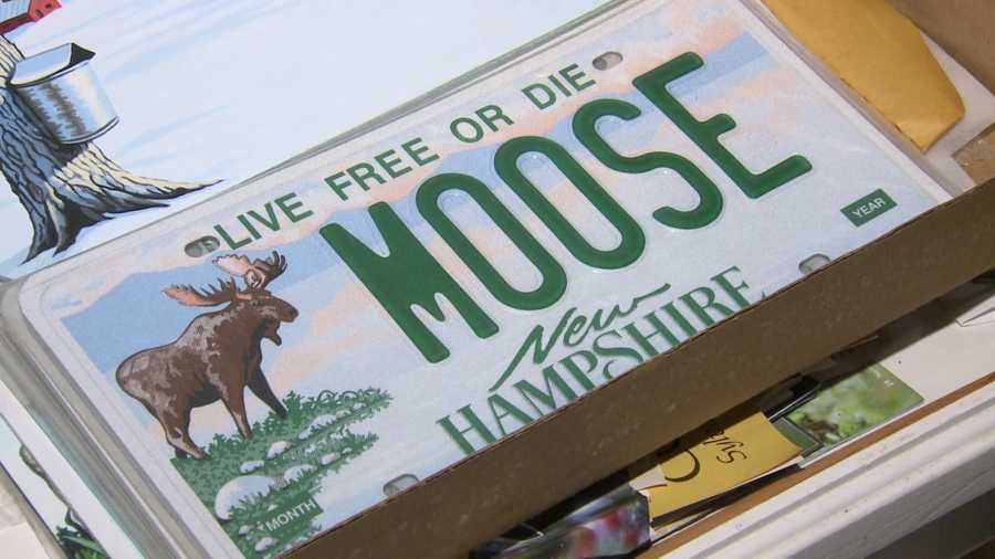 moose plate