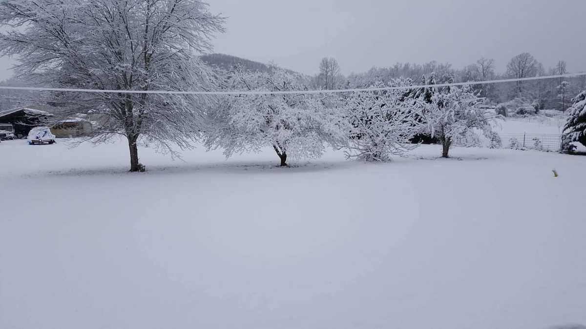 Check out snow pictures from around the Upstate, western North Carolina