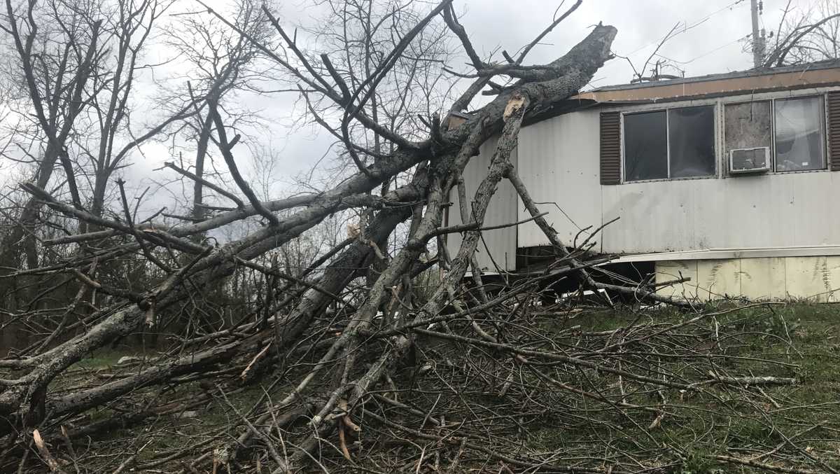 Teen nearly hit by tree, home destroyed during storm in Kenton County
