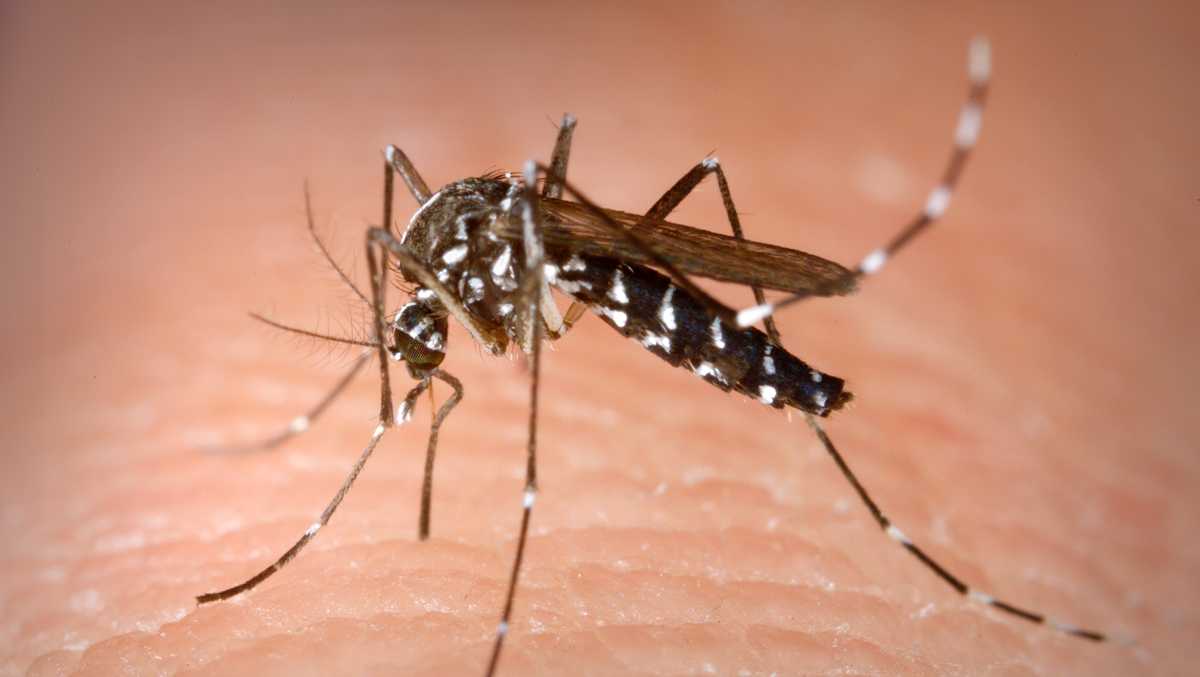 ニューヨーク州クリントン郡で西ナイルウイルスの2人目のヒト感染者が確認された