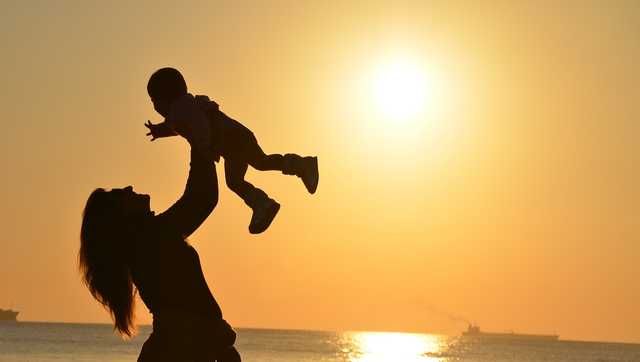 Fun things to do in Florida this weekend - Vimarsana News