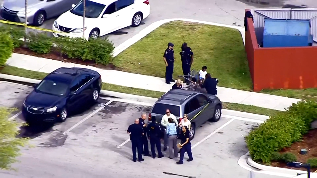 Mother accidentally shot by child in car