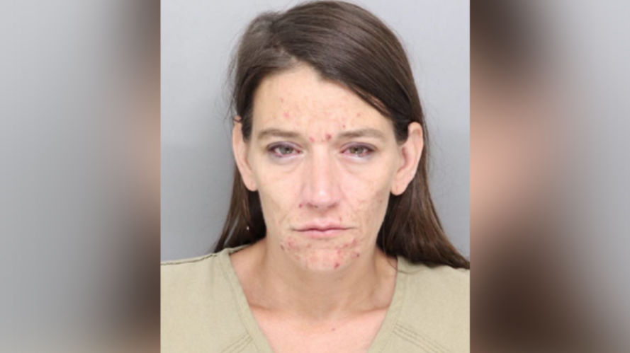 Mother arrested for driving while under the influence with children ...