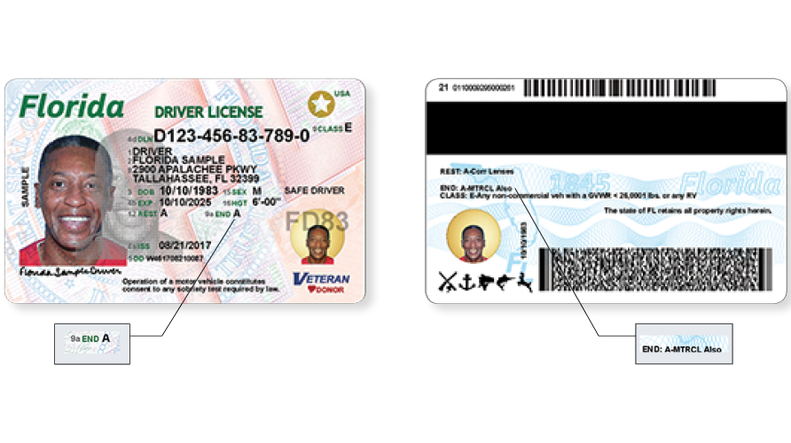 Florida driver's licenses to get complete makeover