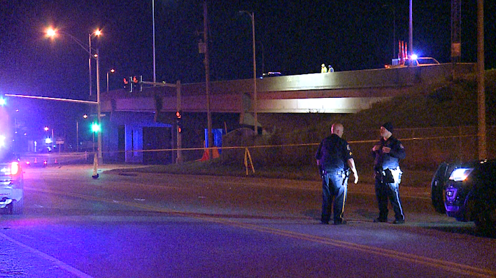 29-year-old Bellevue man dies in crash on Highway 75