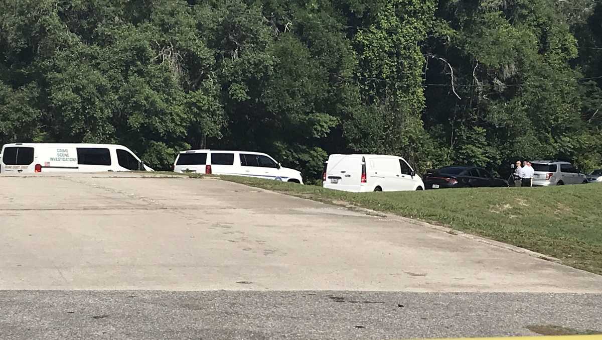 Man dead following hitandrun crash in Mount Dora, FHP says