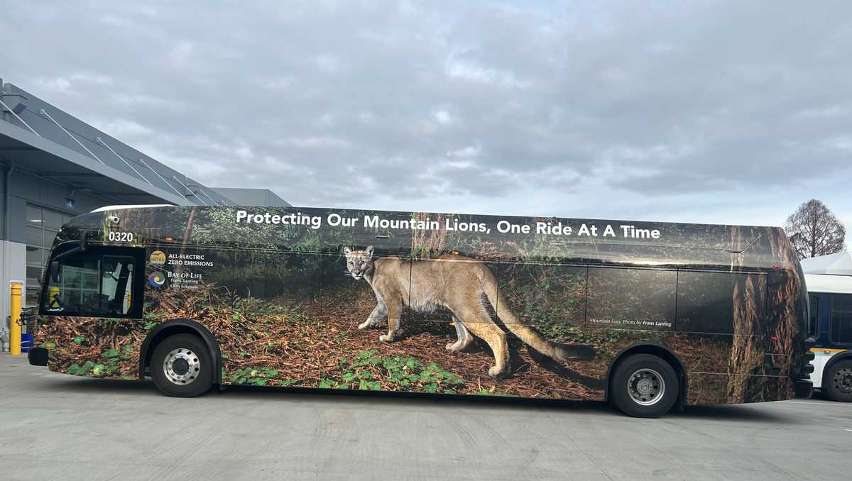 Santa Cruz Metro covers buses with wildlife launches