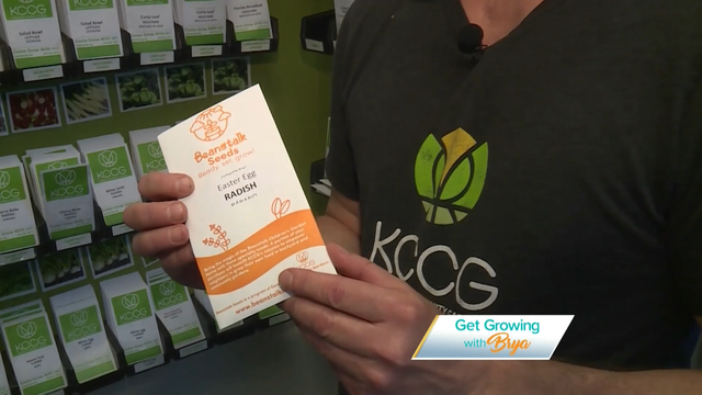 Get Growing with Brya: Step 2 Cool Season Plant Selection - Vimarsana News