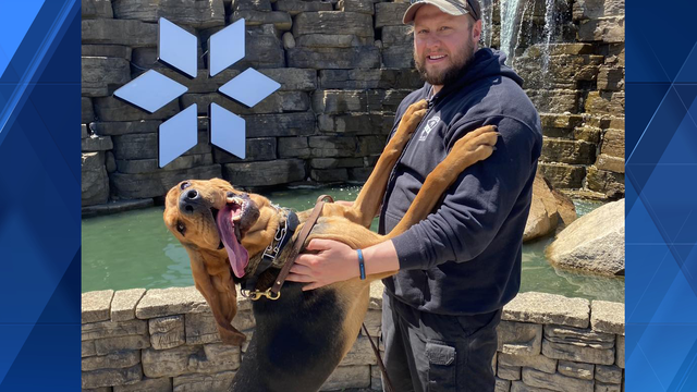 Mt. Lebanon K9, officer complete training in Maryland - Vimarsana News