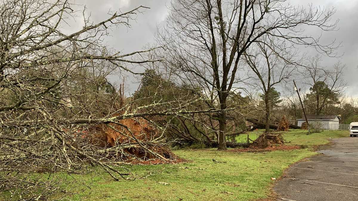 PHOTOS Destruction across Alabama after tornado outbreak