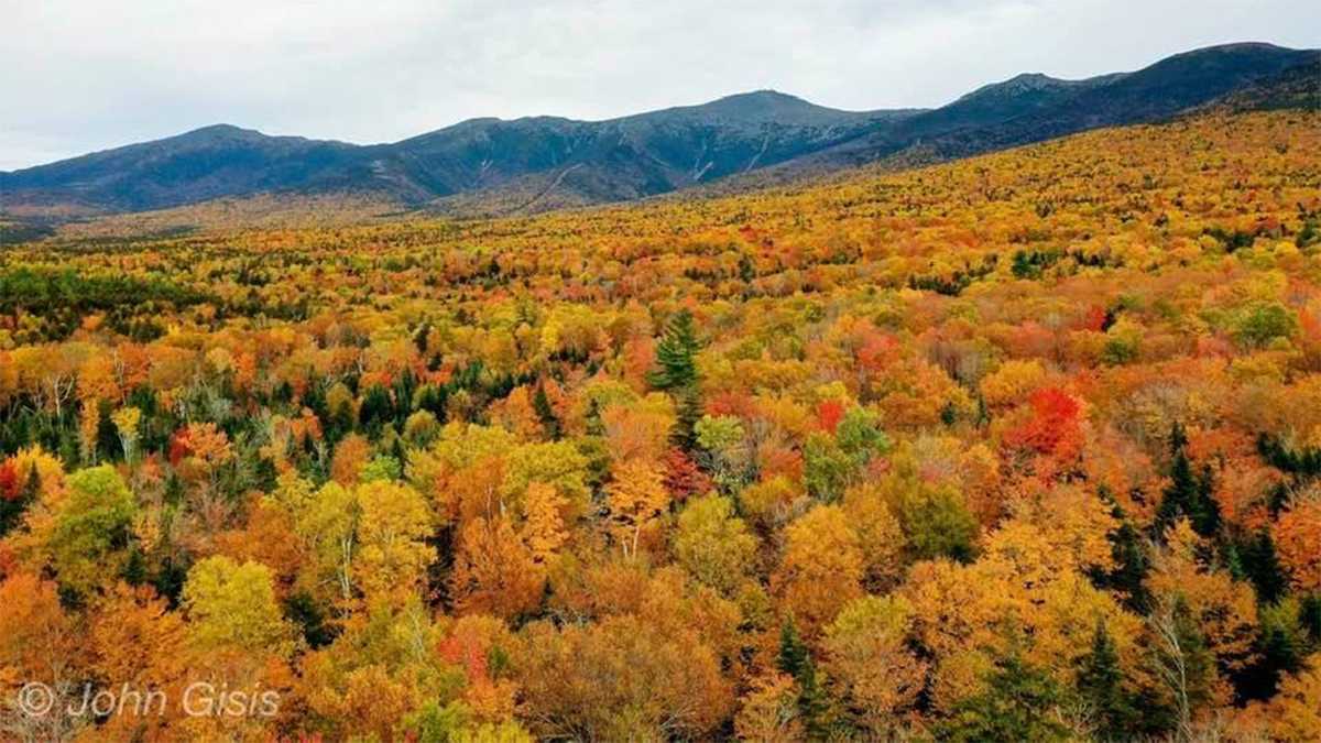 Examining climate change effects on New England fall foliage