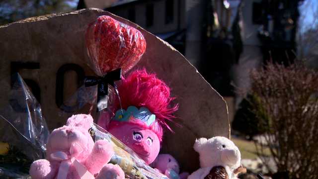 Shaler toddler killed in fire remembered by friends and family - Vimarsana News