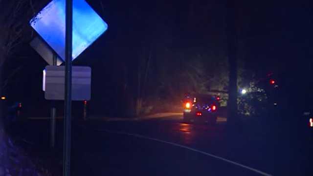 Downed trees close roads as stormy weather rolls through Alabama - Vimarsana News