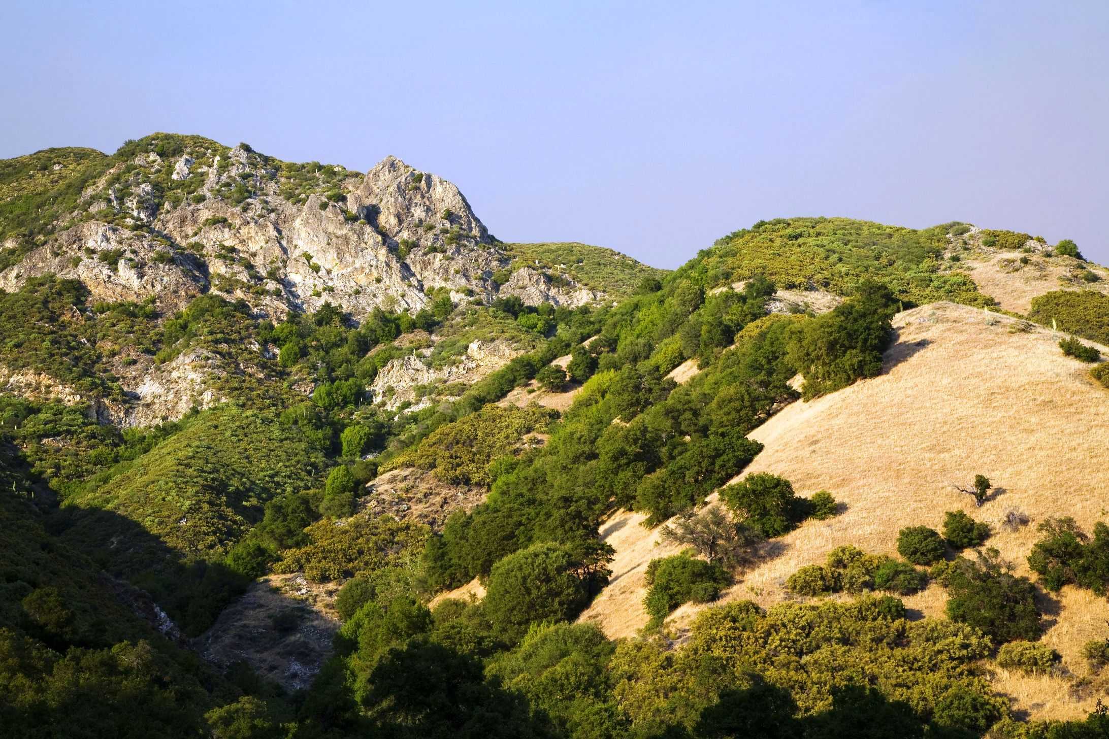 Formerly Private Land In Ventana Wilderness To Be Made Public   Mtnandgrassyslopeabovemeadow 64ed1d5fd25bf 