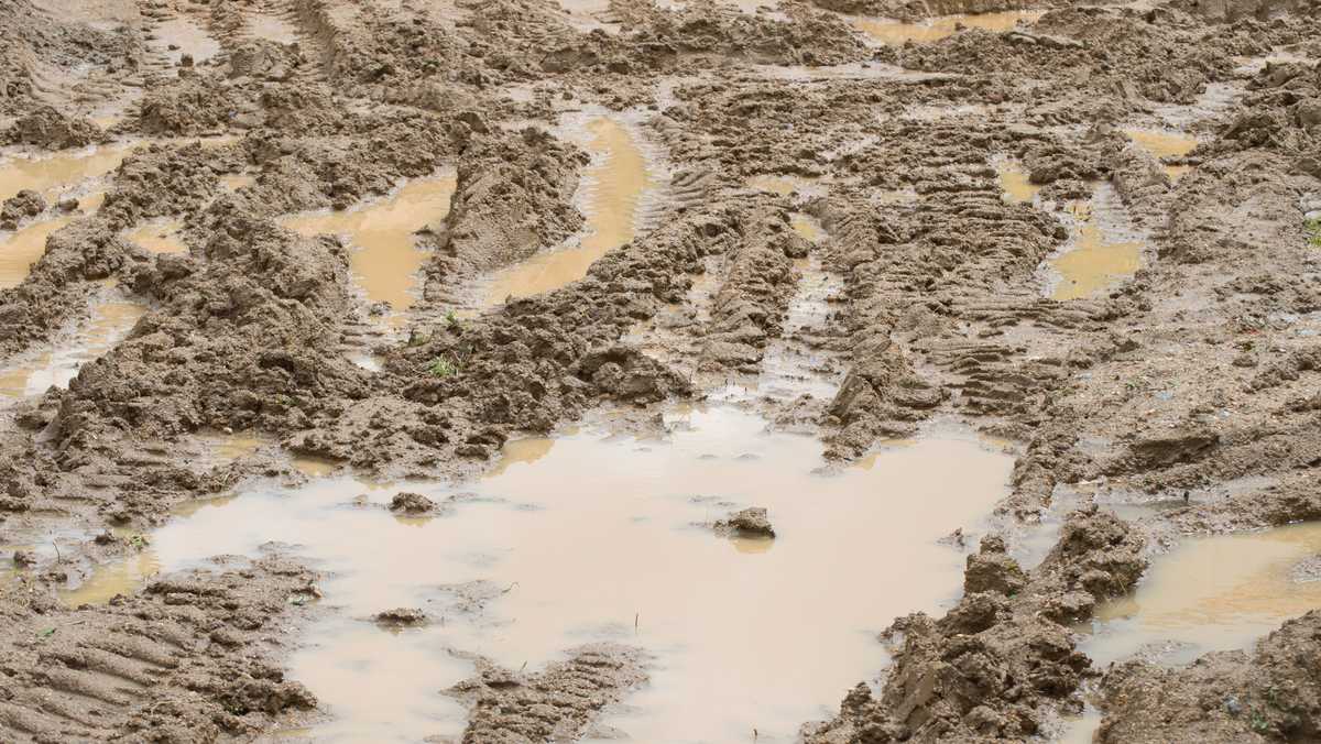 merriam-webster-adds-mud-season-to-the-dictionary