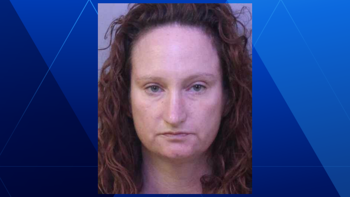 Lakeland woman charged in fatal hit-and-run