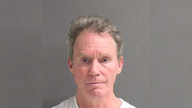 Daytona Beach man facing charges for allegedly torturing cat - Vimarsana News