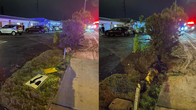 Cape Coral crash