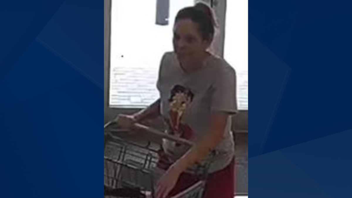 Fort Myers police searching for woman accused of stealing over $700 in ...